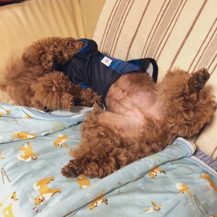 Ec017ea3 5716 4ae9 95b5 1289085c11a1 1559110945090