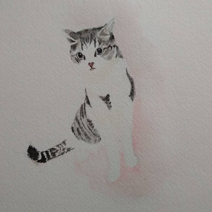 Ec018b5e 6e61 4b35 9b4f 891d9fc97047 1560069508695