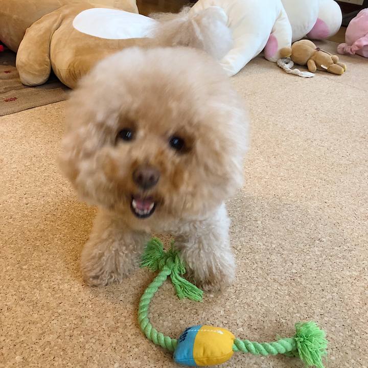 Ec01a0d8 0435 4217 bb9e 54c420fffab7 1526177835946