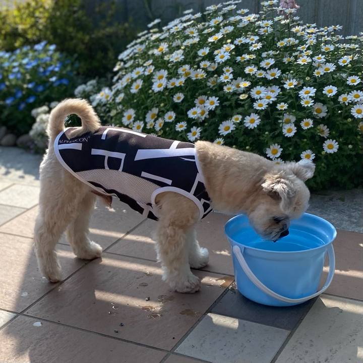 Ec01ac7c ff9d 48e2 bb2d 730c6293e03a 1712486444962