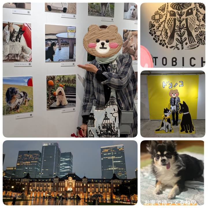 Ec01df60 7f02 4ee3 aae2 86980064d156 1761445970382