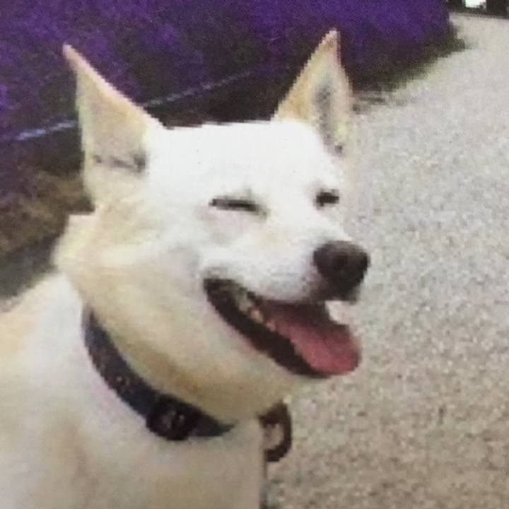 Ec01e373 d6c1 4195 8956 dead9645de08 1532950802806