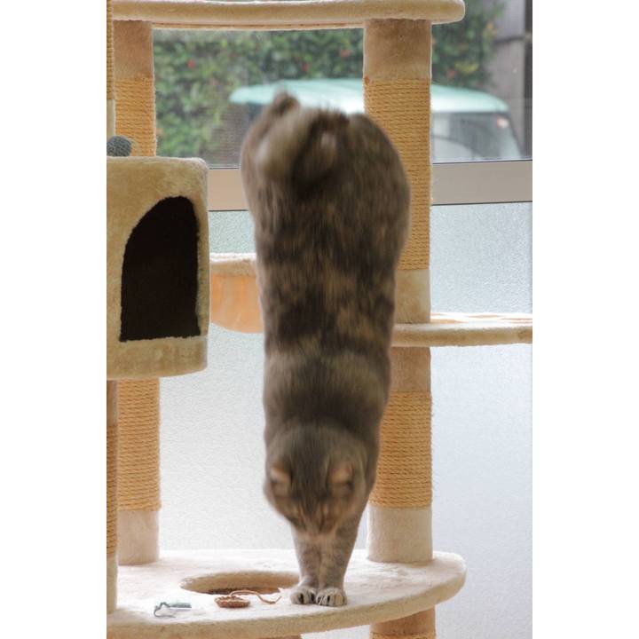 Ec01e704 bccd 4b5f a049 5359ecc71a9a 1629445872186