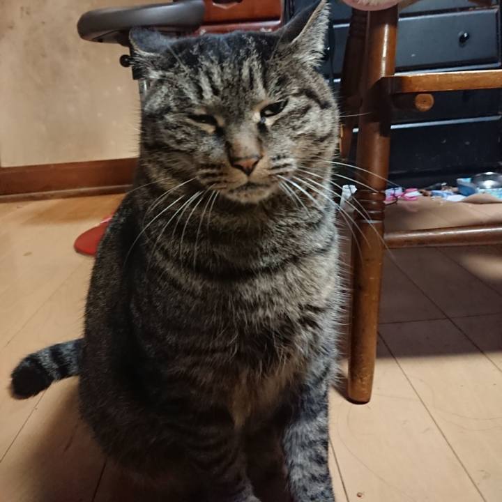 Ec02035e afc8 4e7d b2e2 20272827d12a 1640255688266