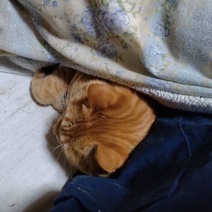 Ec020f00 aedd 444b 92bc 2581e0a25a0e 1666874510032