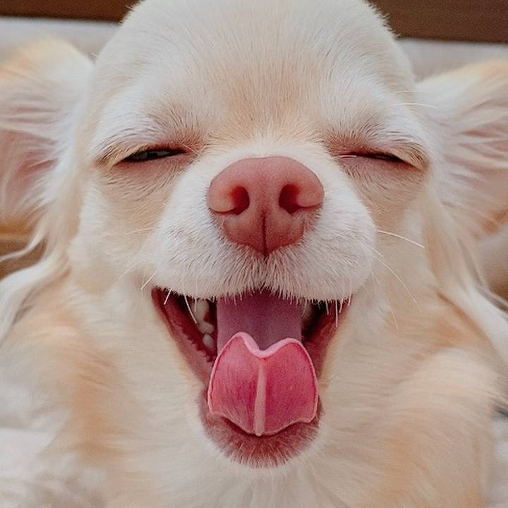 Ec025184 f078 4493 ad66 f712ee79cb7f 1612662583542