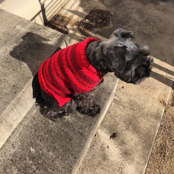 Ec02761e 8519 4dc5 b543 98558ec73197 1545616204099