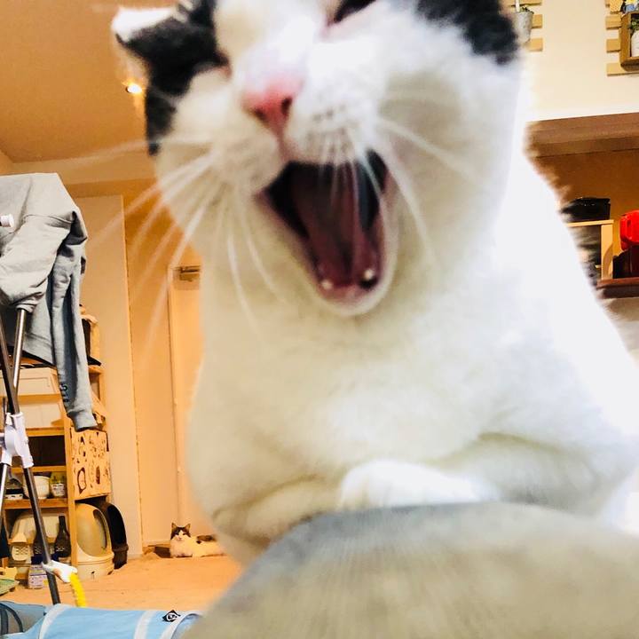 Ec035423 04ab 4cd1 a232 9e627b0cf1a6 1543503254231