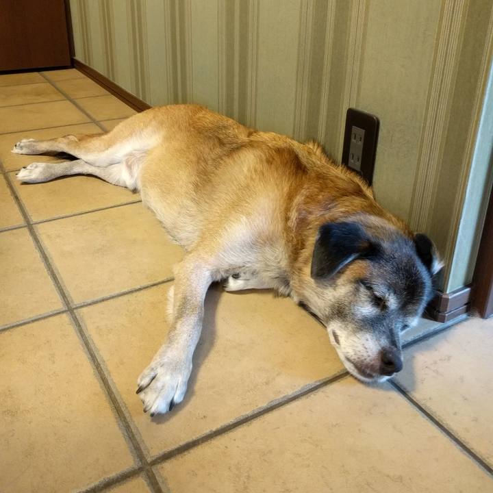 Ec03aa37 8cde 4d65 ab45 c7e67b234ee1 1536296618688