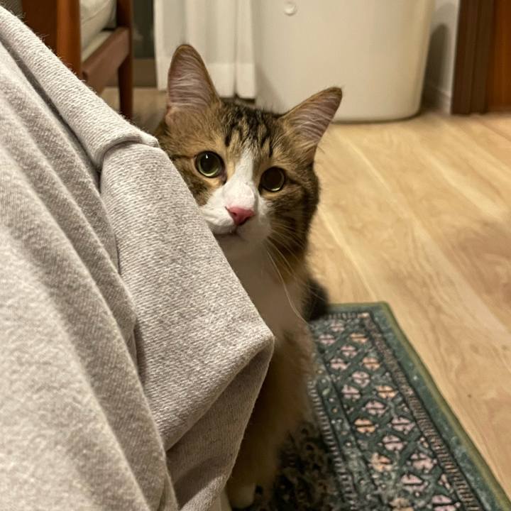 Ec03b8d4 4a1f 4818 b232 ffa276e23987 1761475002702