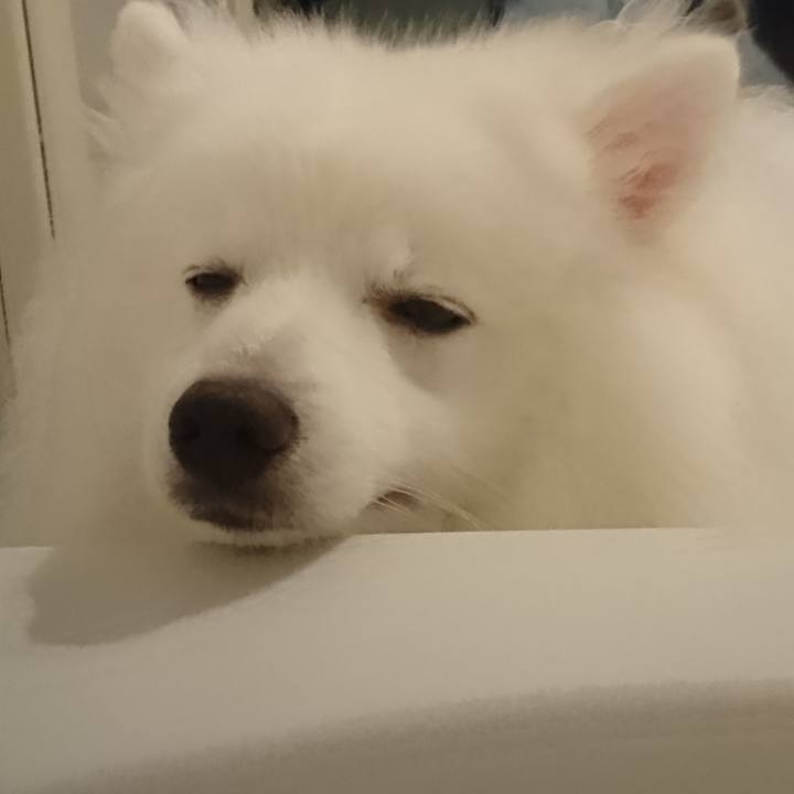 Ec03bee4 8dc5 4ce3 a27a 6bc70fe2f9d9 1567781472336