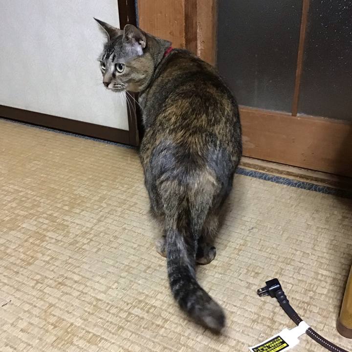 Ec03f07c 4367 4541 af8a 0c60c08e09f8 1679486657139