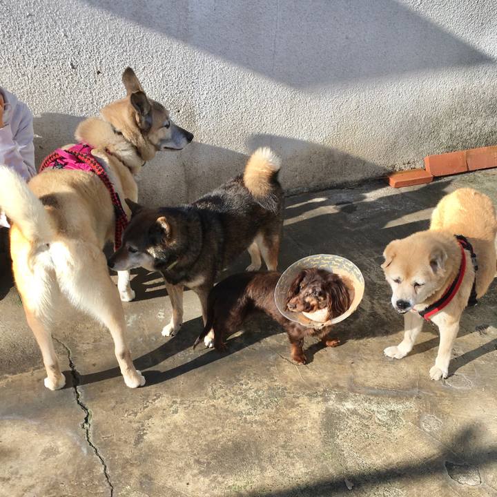 Ec03f119 4ecf 4d33 8ef3 13072e5570db 1580554443408