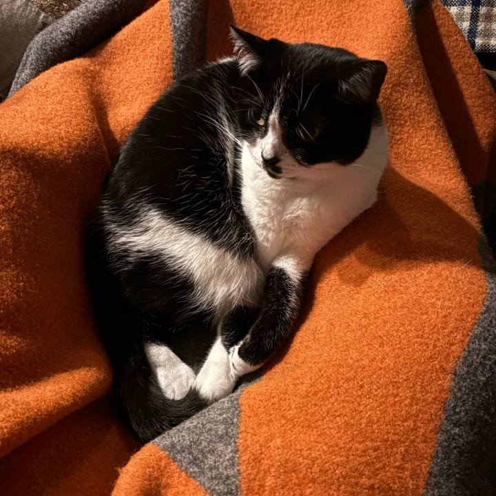 Ec04108c f9f4 4fd0 9555 ced6aa8b12bb 1770542528270