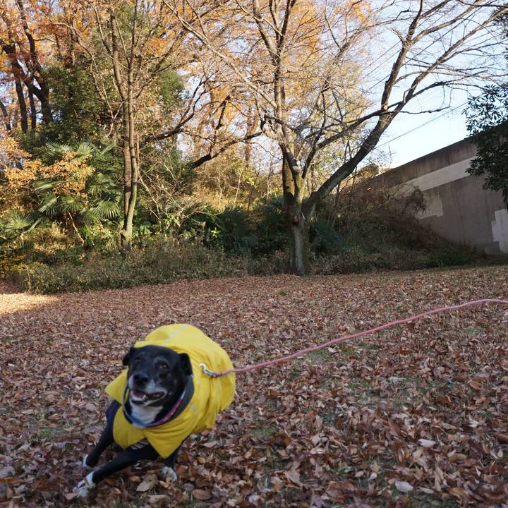 Ec0495c1 af10 4e6f a3c4 dfbf5778e322 1765589119464