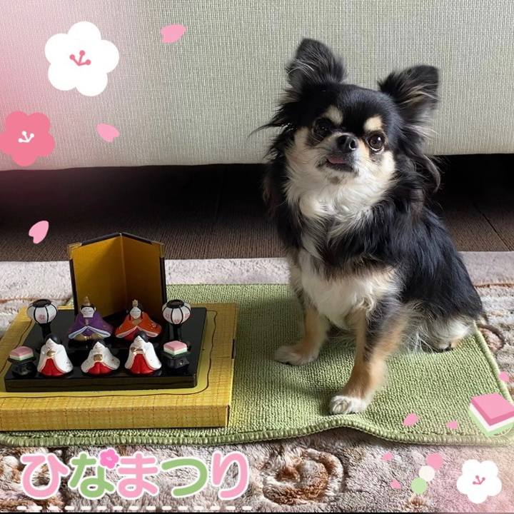 Ec04b53a 1f76 45d9 9631 76cdbb353ef6 1646254312560