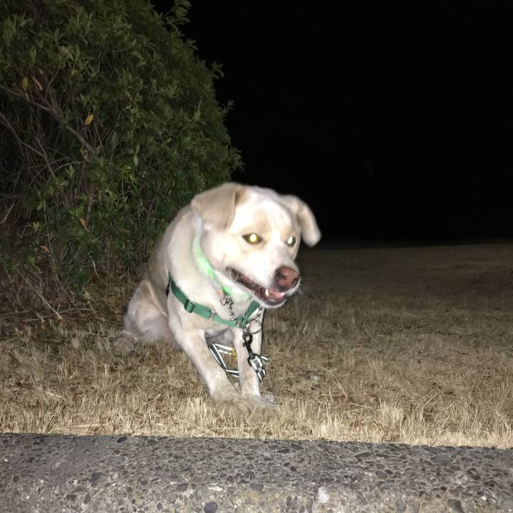 Ec0518ac a0e8 4625 9c98 f5294bd704e3 1516876906317