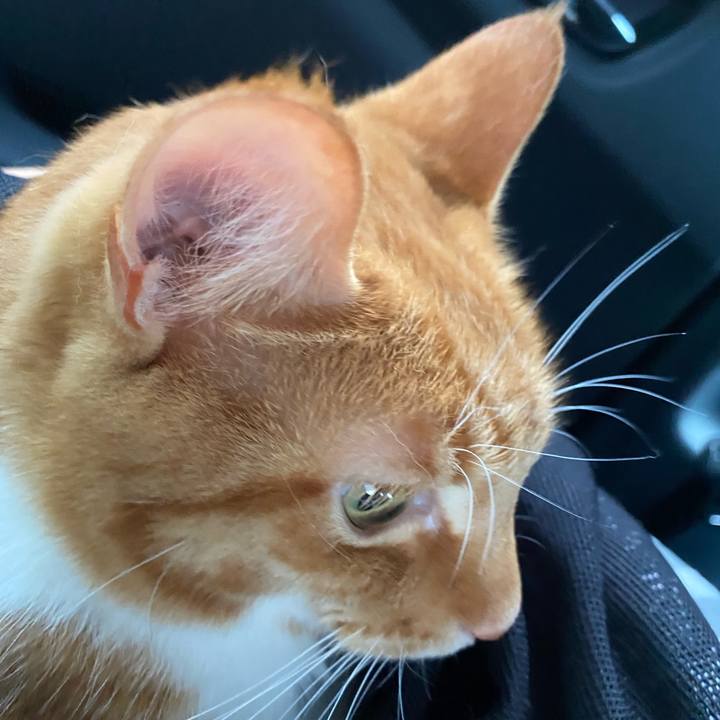 Ec05237c c291 40f8 8736 0cccf9249f8e 1592807530680