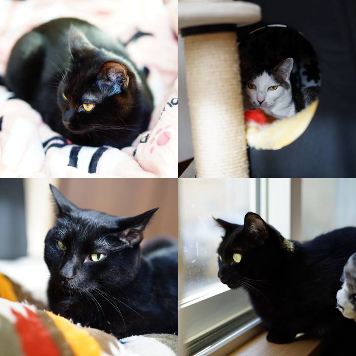 Ec052af8 1ce6 4fe8 91e2 5572b54362e4 1554162937512