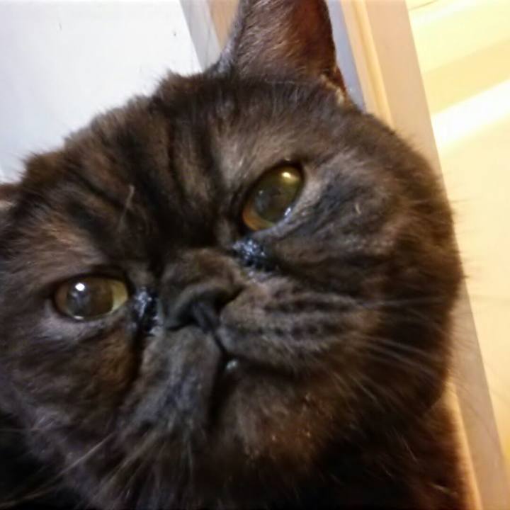 Ec052e1c 7257 49e4 ba02 3fc6cf454372 1552813883479