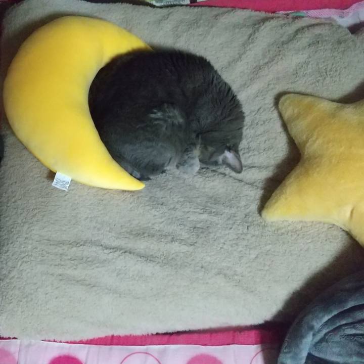 Ec054cea dec7 4418 9b96 8ae9e88c929d 1642581648179