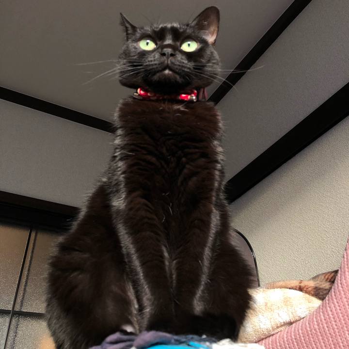 Ec054d91 6005 457c 8942 40af6b4aee21 1611873322625