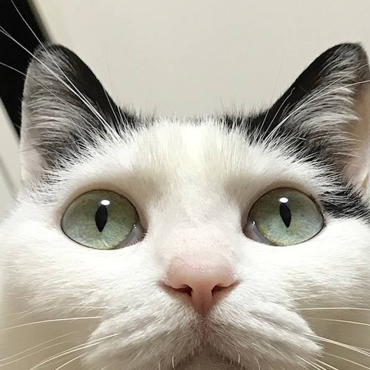 Ec054dee 9244 4219 87f2 90242c0983b5 1523448903098