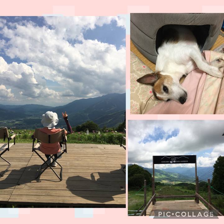 Ec055914 7198 4178 b7ea 127690a3030a 1659830591968