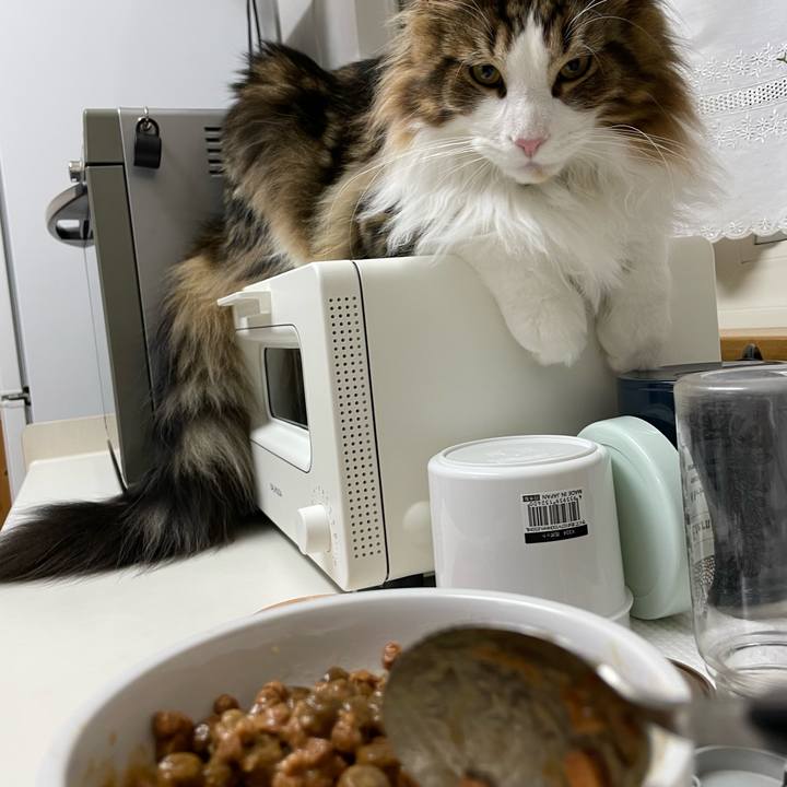 Ec056263 3a4a 4a2b 956e f22281b71d3b 1644265310674