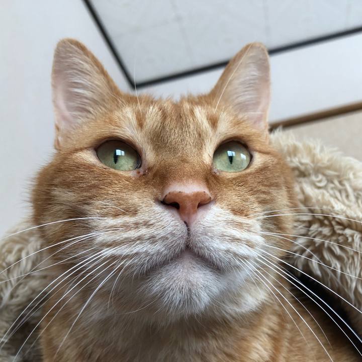 Ec05783a 73ff 4687 8815 9f0eec6c1c23 1640750577156