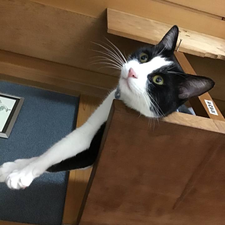 Ec057fb4 75a6 475b bb4d 580cd9de0fb2 1662727201399