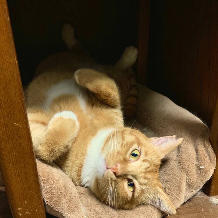 Ec05fc62 9c72 4657 8253 5eefcb819694 1575900437627