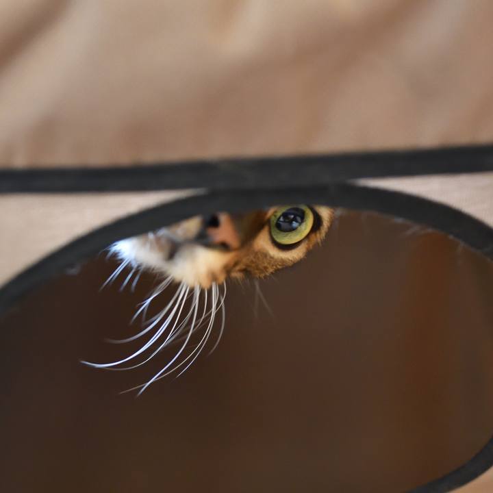 Ec0602b8 456c 4f3b b8f9 cecf90f48354 1511534716454