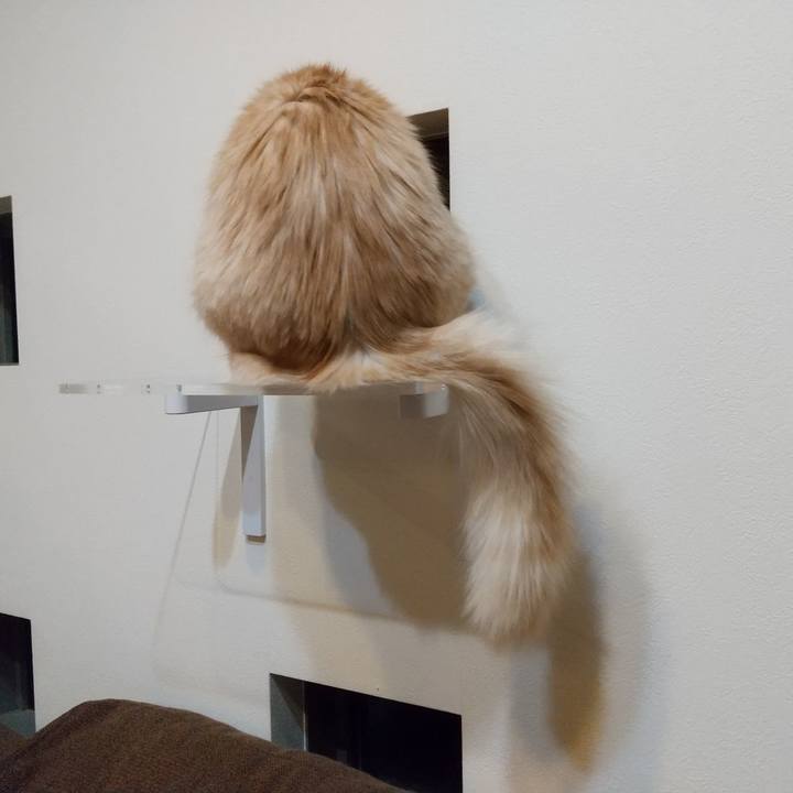 Ec06686b 7811 4ccc b6cc b8f7c88124fe 1638917891764