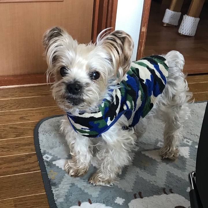 Ec066bdf d715 45fd a412 7c4cd437c3ad 1556850388950