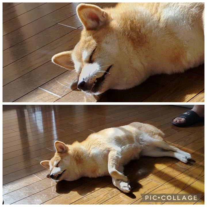 Ec06ba48 3bc4 4b2d 929d 81b30d61bc8a 1769398632858