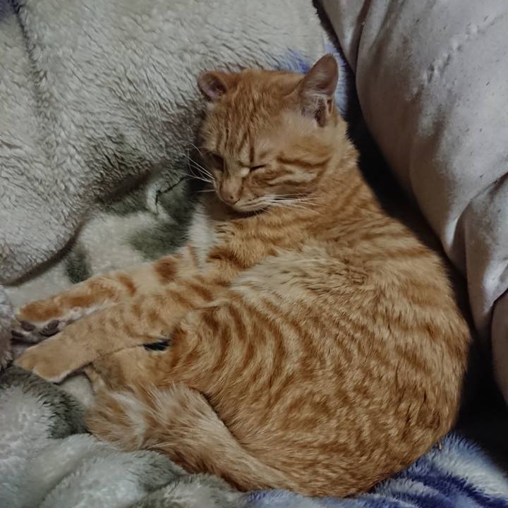 Ec06c148 00ea 4017 95ec 99cc9c7c918d 1650458629939