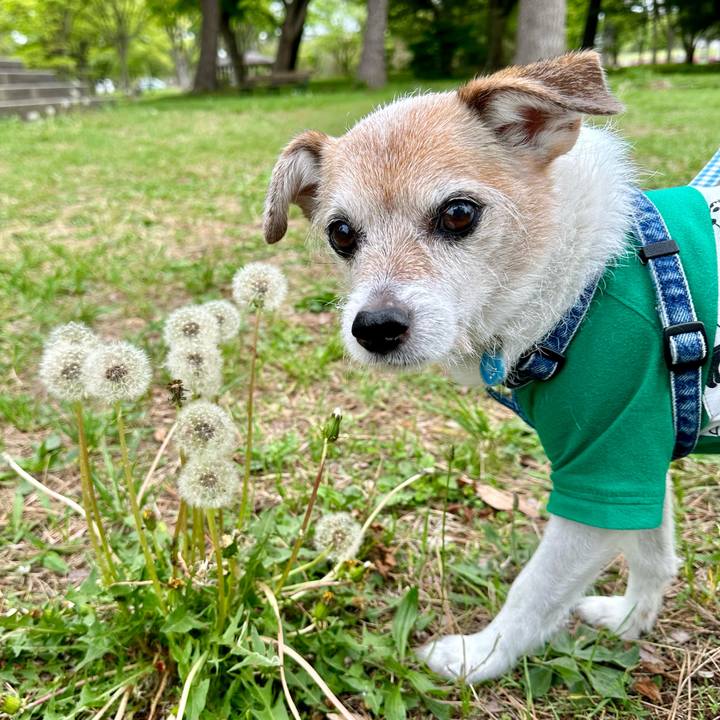 Ec06cabb 0d92 42f8 b1f6 7945b12a0b37 1714213857957