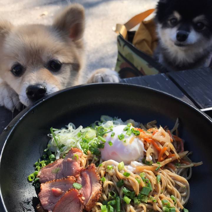 Ec06de10 baa9 4101 9fc9 a874fff72bef 1573644395113