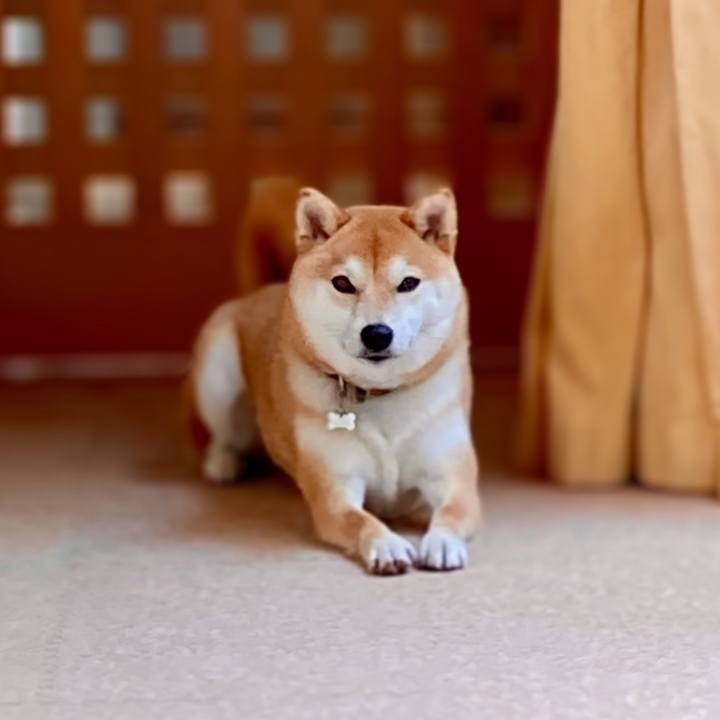 Ec06eb6d 6585 4ad5 9c23 6aa1e66ebb89 1647147336405