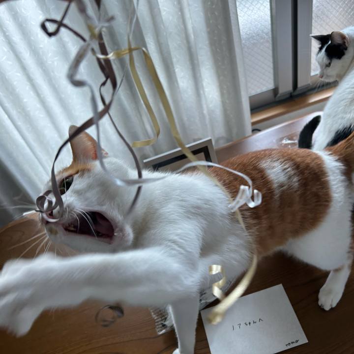 Ec06fab0 7f77 4ebb 9549 2ba93faff18d 1764660480951