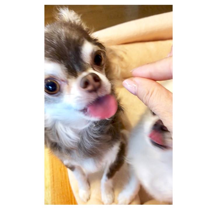 Ec0705e7 5209 4404 b8f8 b9a9fcece22d 1532128757312