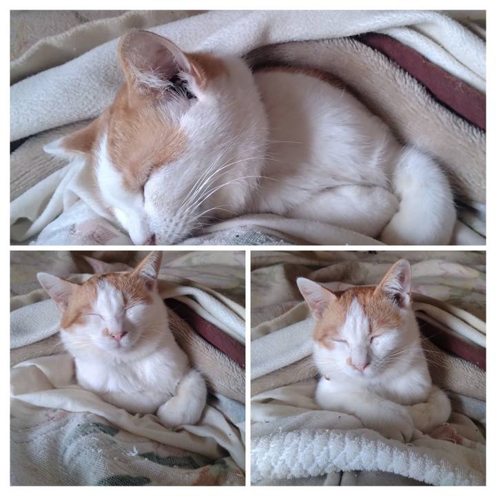 Ec071427 6cd2 4c18 9e2a abcbe10a2972 1741248582261