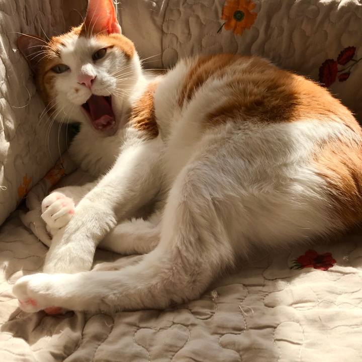 Ec0716bc ae1d 452e ac35 9f3fbefdbb9d 1584751667670