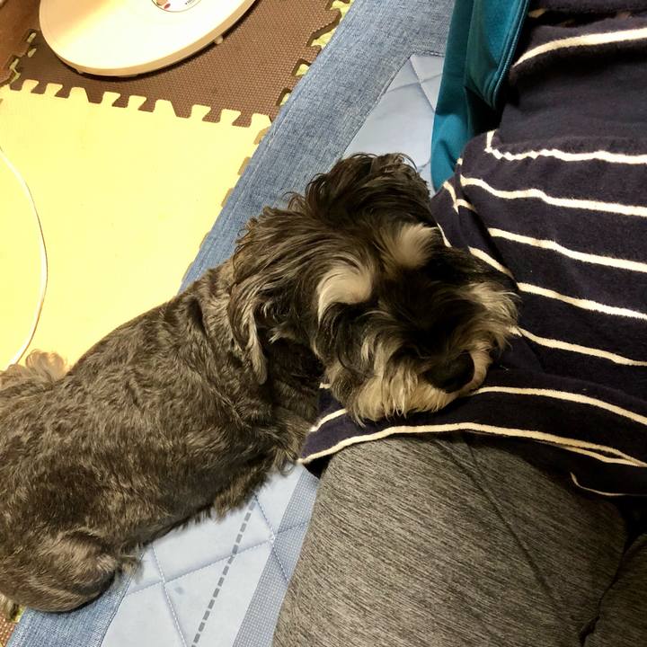 Ec0720a3 ada1 4b86 afb1 ee9bb8bfb6fc 1663151467357