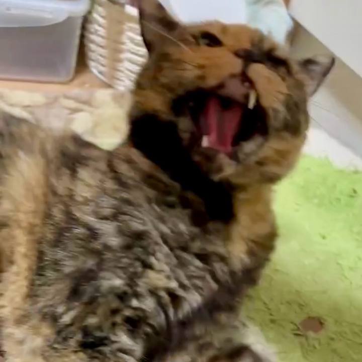 Ec072547 ab2a 4f37 b983 fb4ea4895fac 1756591383475