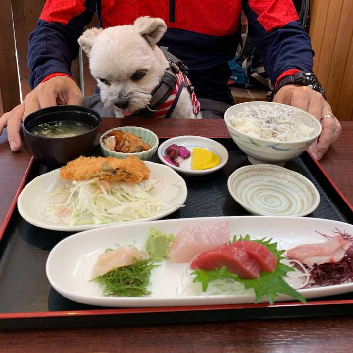 Ec0725c4 88f4 4498 b87a 1c90b37a8cd7 1616849410182