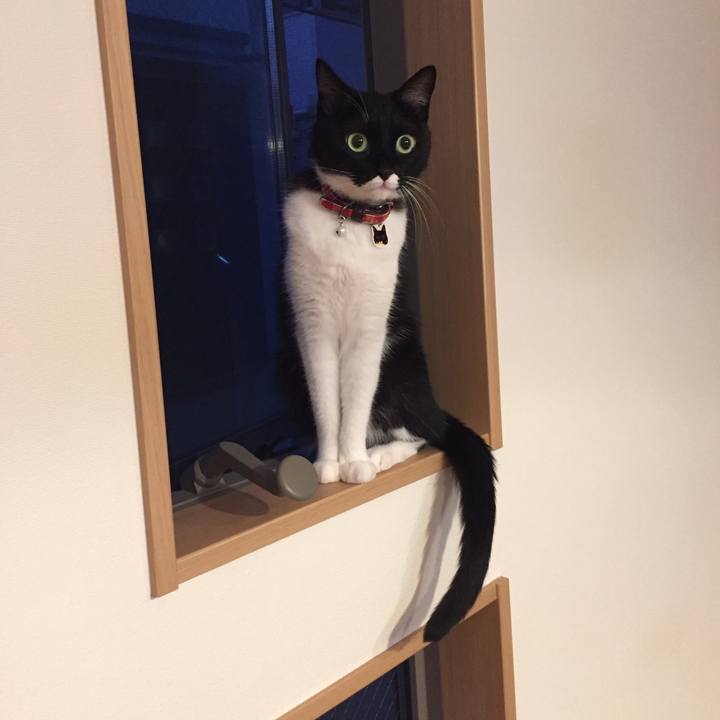 Ec073b83 7038 4d7f b078 eb57aaa5ce28 1533739808191