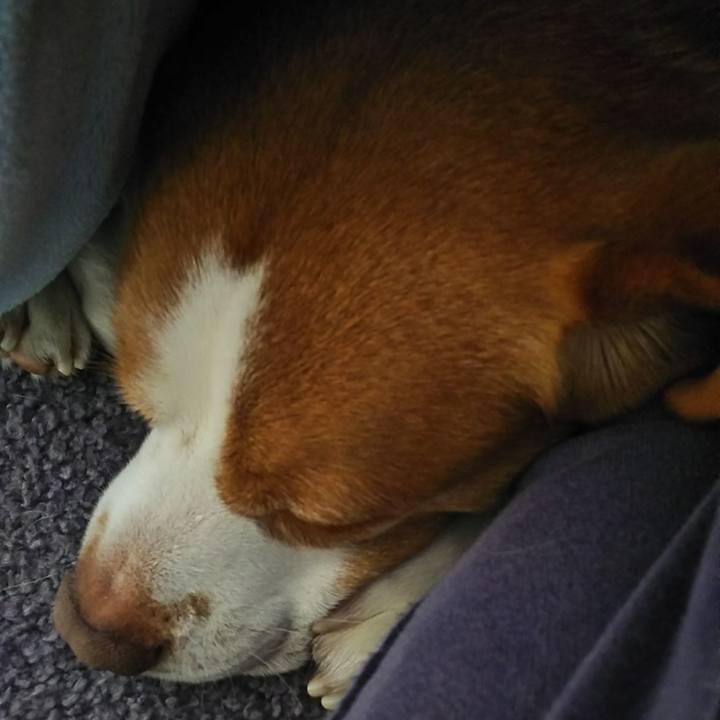 Ec07464d 7345 4c53 80f3 30ba10ba23ad 1585705058479