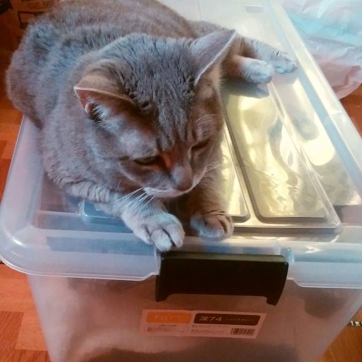 Ec075ca4 f2b4 4a74 b379 9259b11f093e 1558255384344